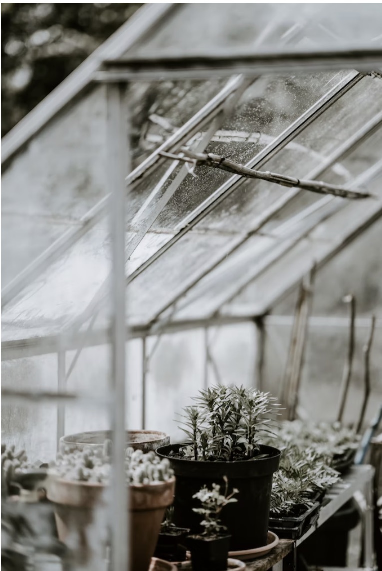 repurposing old windows